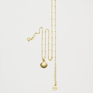 Łańcuszek z muszlą